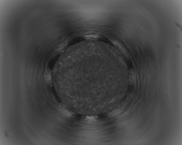 X0000092320573200710051259