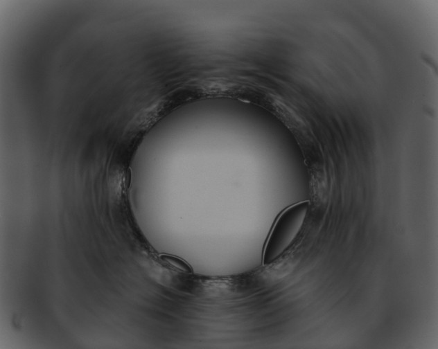 X0000092320574200710051259