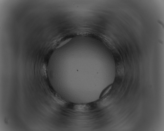 X0000092320575200710051259