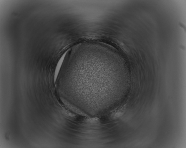 X0000092320576200710051259