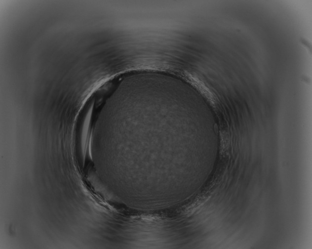 X0000092320580200710051258