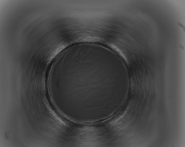 X0000092320581200710051258