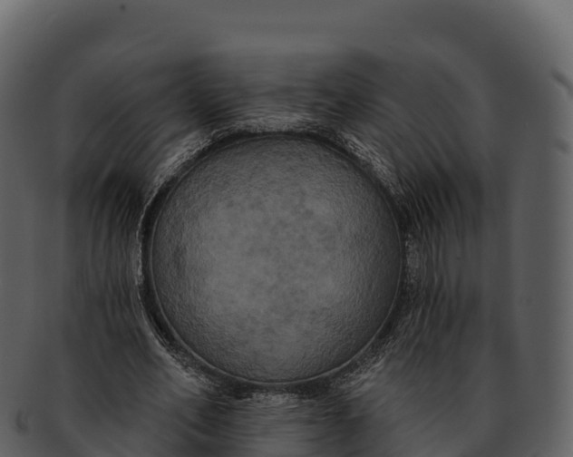 X0000092320582200710051258