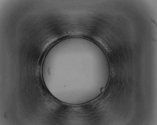 X0000092320583200710051258
