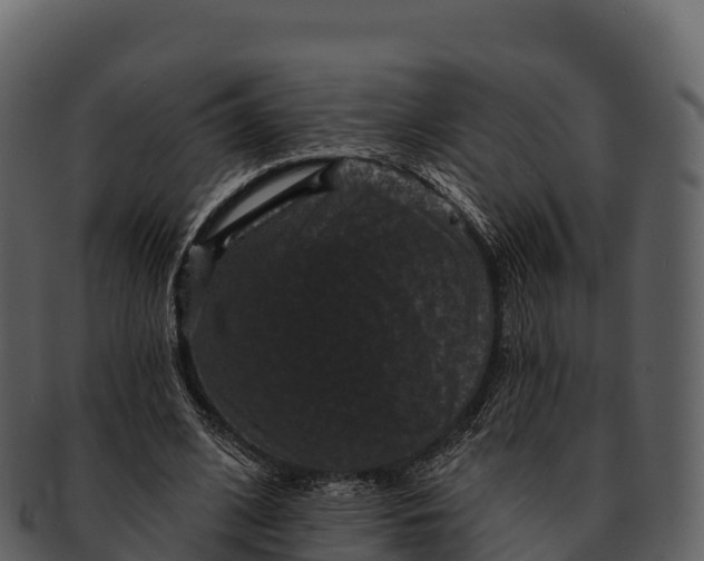 X0000092320584200710051258