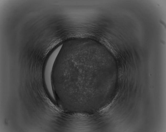 X0000092320585200710051258