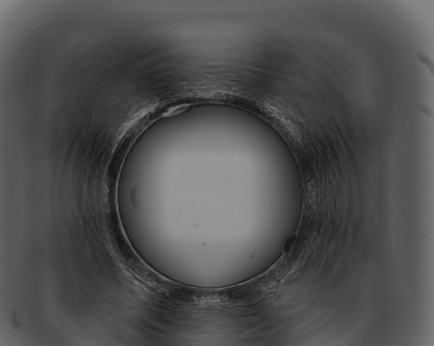 X0000092320587200710051258