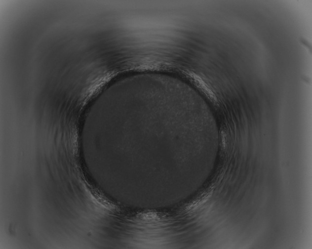 X0000092320588200710051258