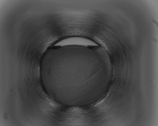 X0000092320589200710051258