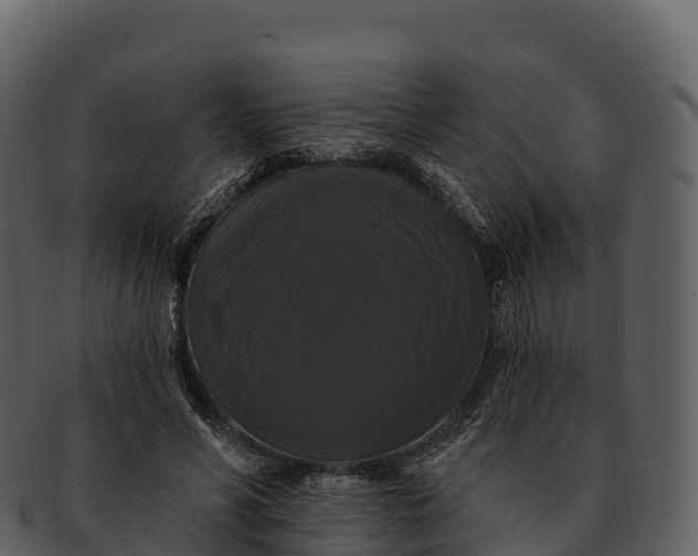 X0000092320590200710051258