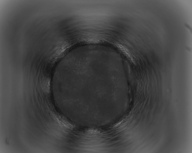 X0000092320596200710051258