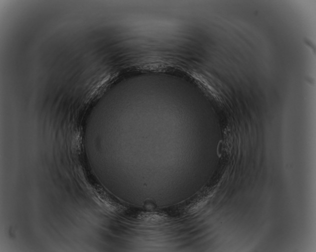 X0000092320597200710051258
