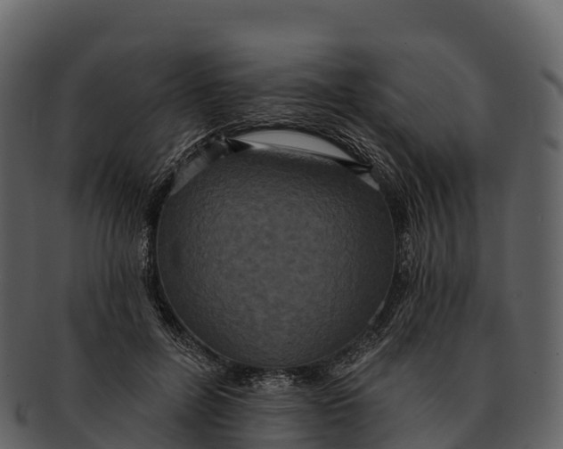 X0000092320600200710051258