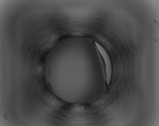 X0000092320601200710051258