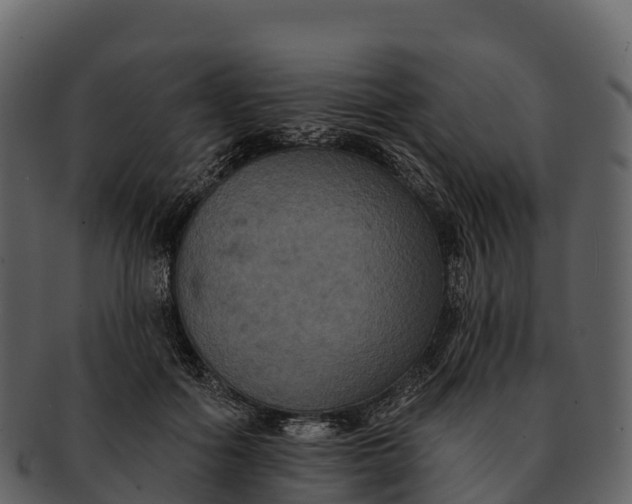 X0000092320602200710051258
