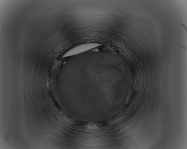 X0000092320604200710051258