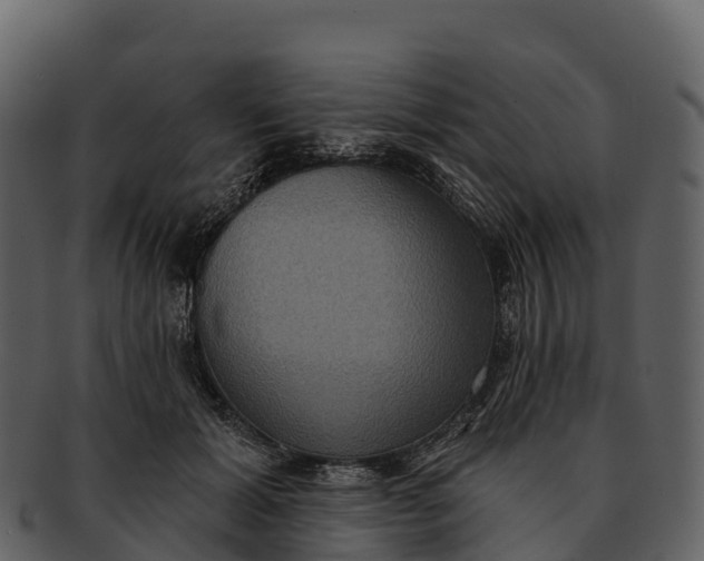 X0000092320605200710051258