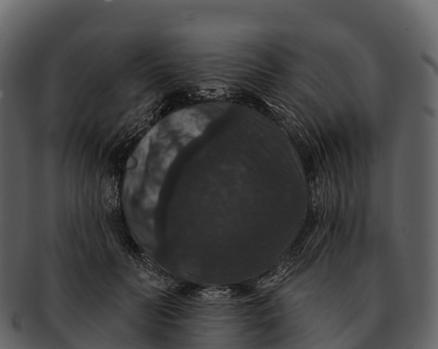X0000092320606200710051258
