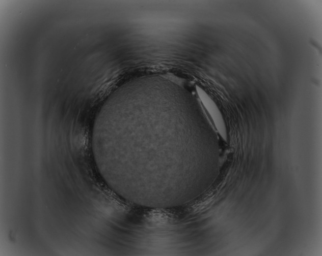 X0000092320608200710051258
