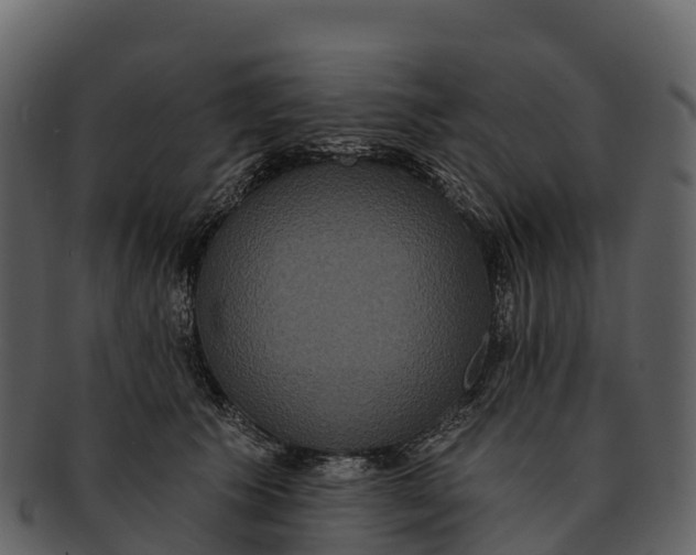 X0000092320609200710051258