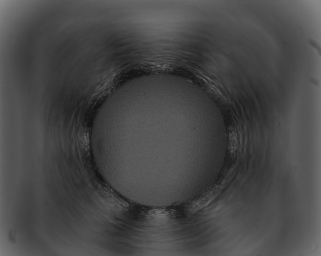 X0000092320613200710051258