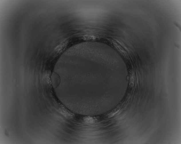 X0000092320616200710051258