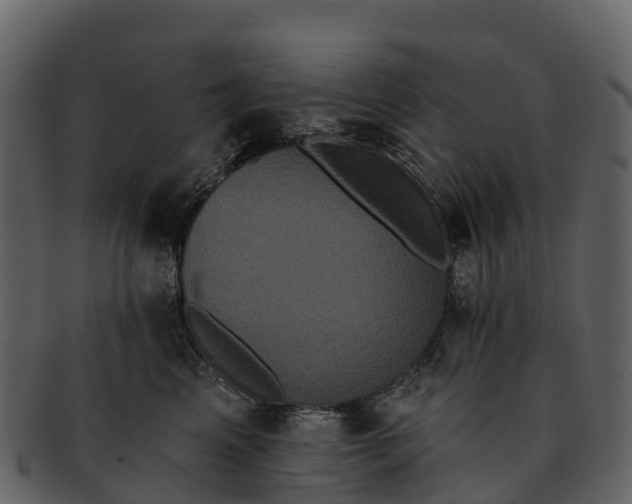 X0000092320617200710051258