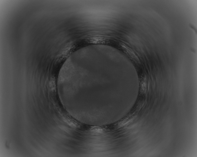 X0000092320620200710051258