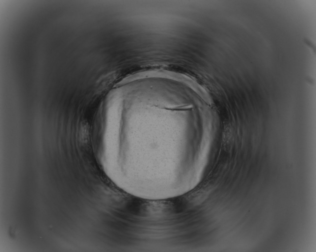 X0000092320623200710051258