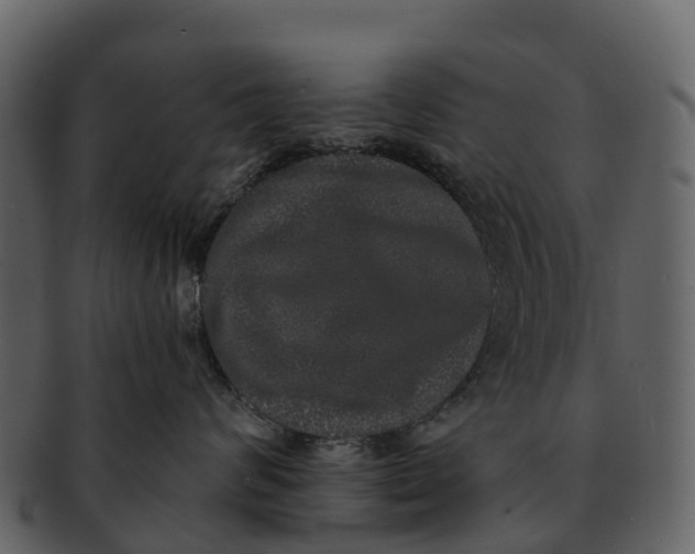 X0000092320624200710051258