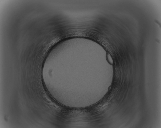 X0000092320625200710051257