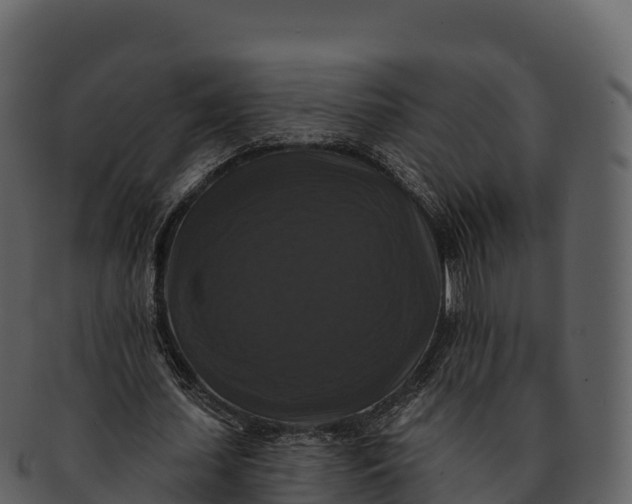 X0000092320627200710051257
