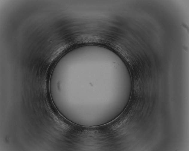 X0000092320629200710051257