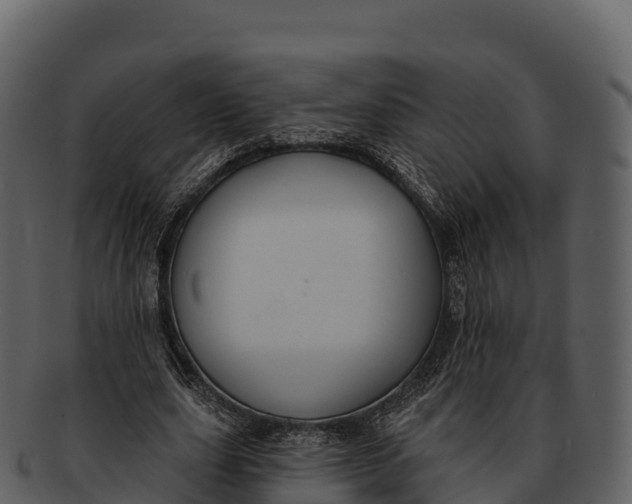X0000092320631200710051257