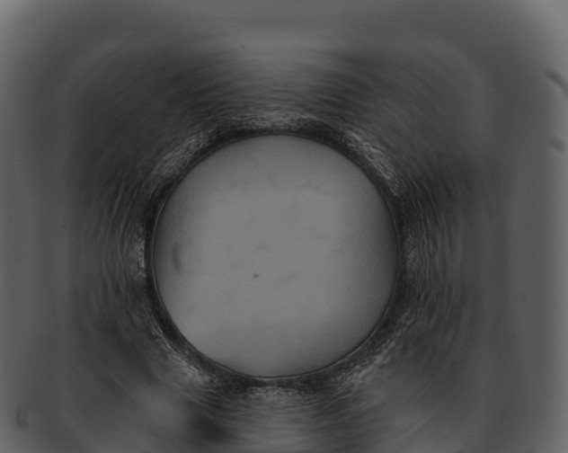 X0000092320633200710051257