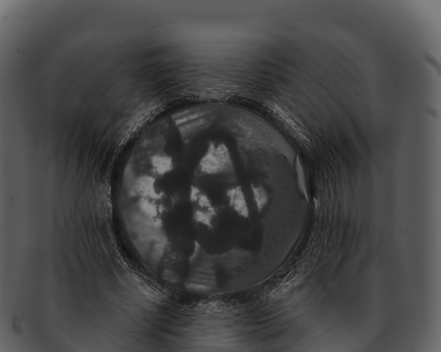 X0000092320634200710051257