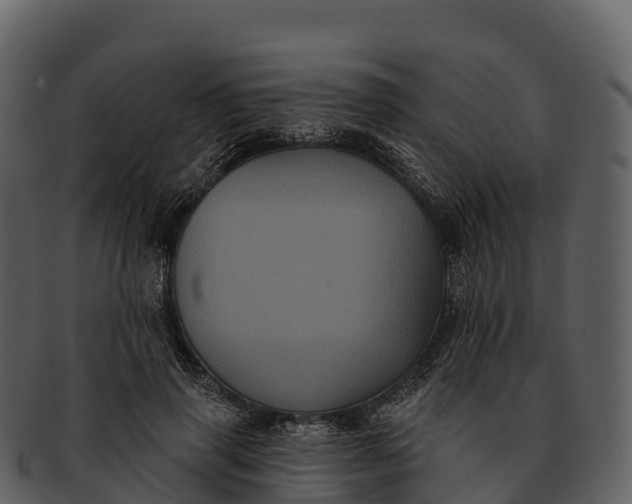X0000092320645200710051257