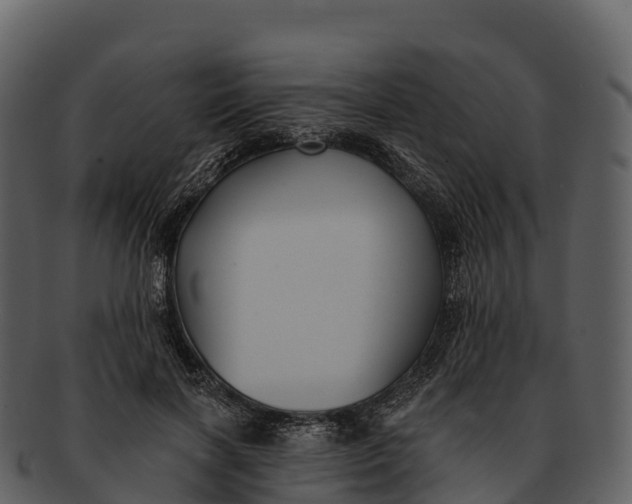 X0000092320646200710051257
