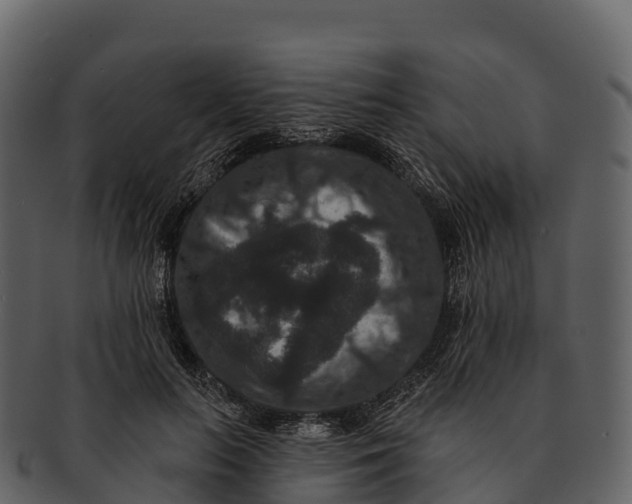 X0000092320647200710051257