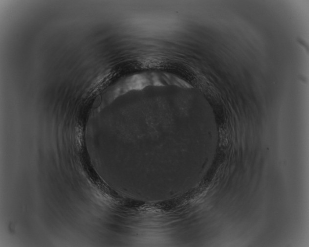 X0000092320648200710051257