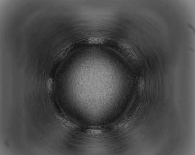 X0000092320649200710051257