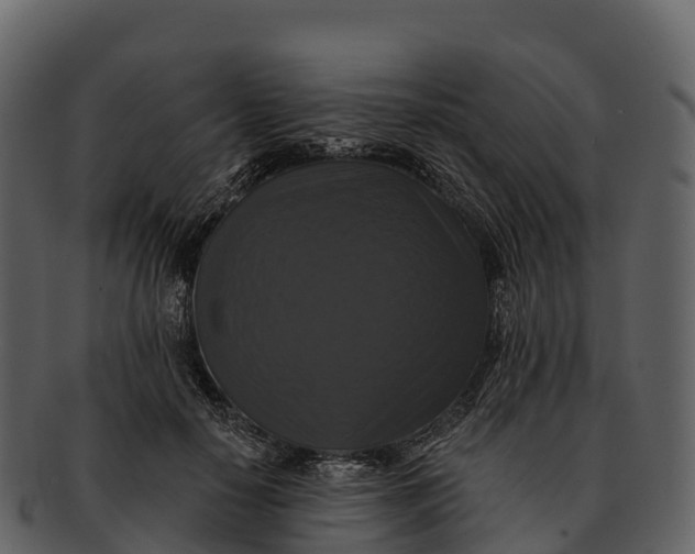 X0000092320650200710051257
