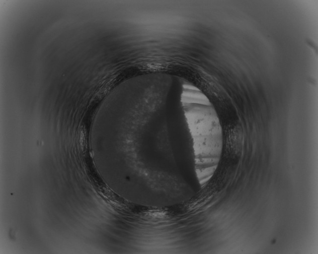 X0000092320651200710051257