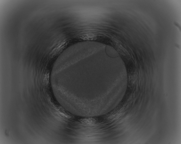 X0000092320652200710051257