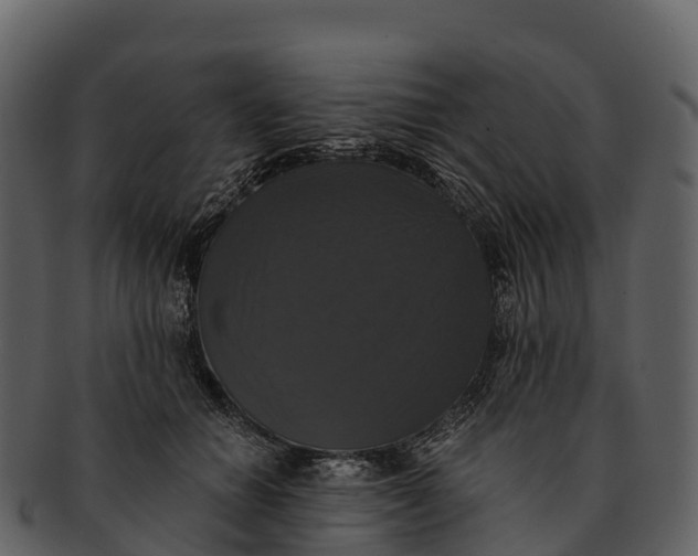 X0000092320654200710051257