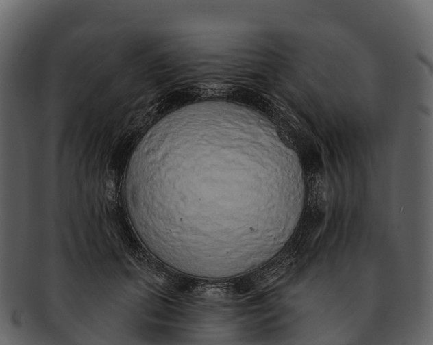 X0000092320655200710051257
