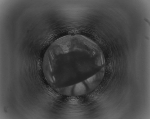 X0000092320658200710051257