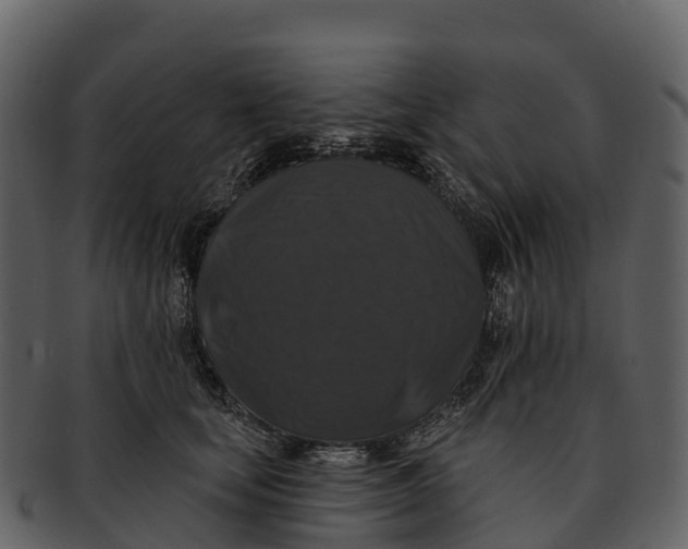 X0000092320659200710051257