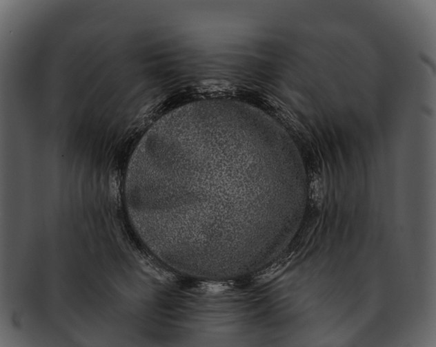 X0000092320662200710051257