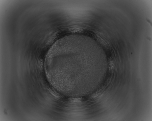 X0000092320664200710051257
